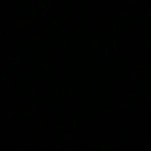 Meet your Posher, Max